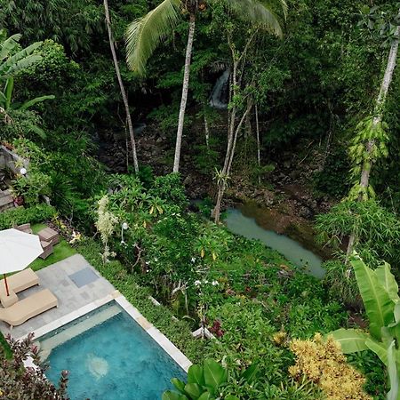 Campuhan Guesthouse Tabanan  Bagian luar foto