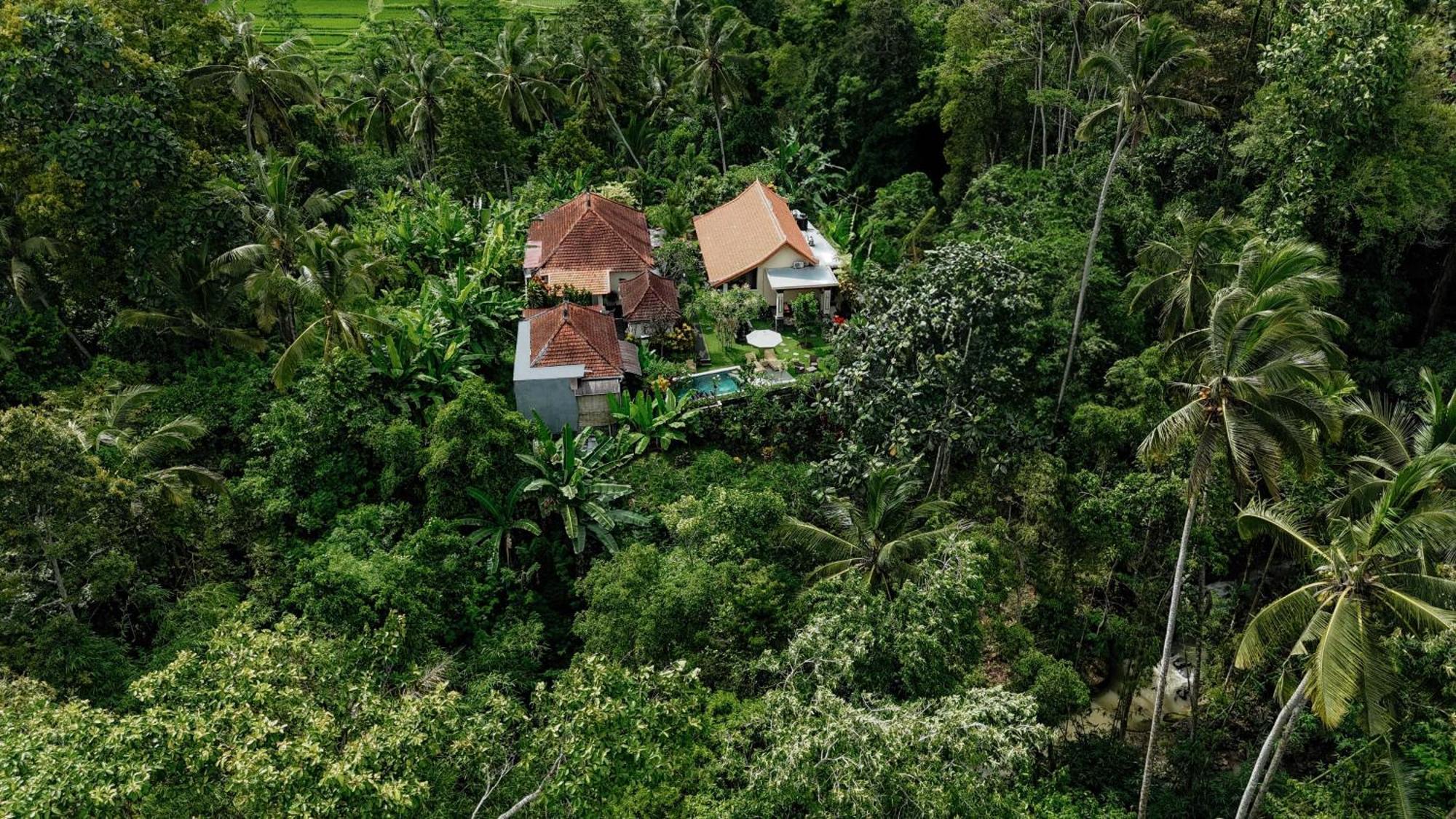 Campuhan Guesthouse Tabanan  Bagian luar foto