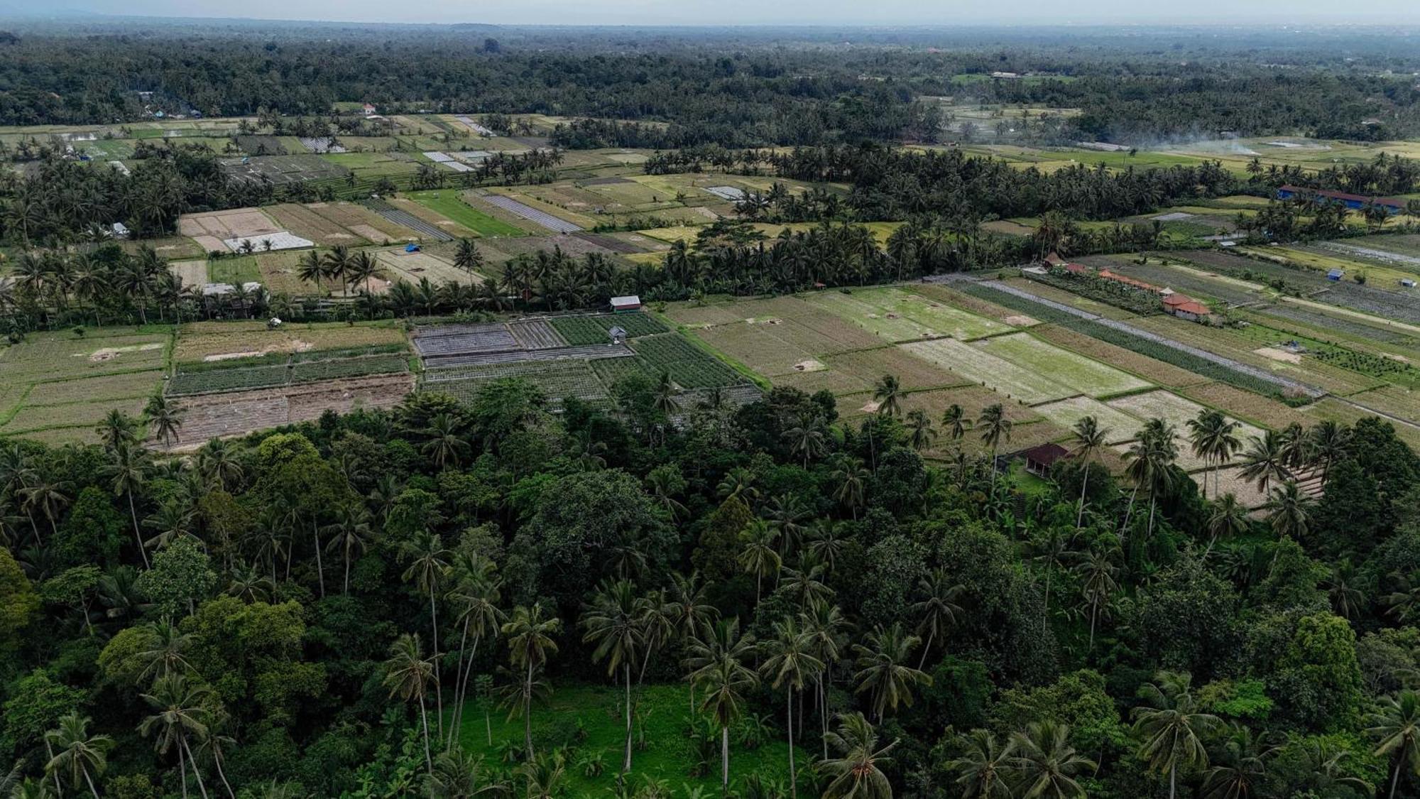 Campuhan Guesthouse Tabanan  Bagian luar foto
